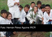 UNA INVITACIÓN A PLANTAR ÁRBOLES