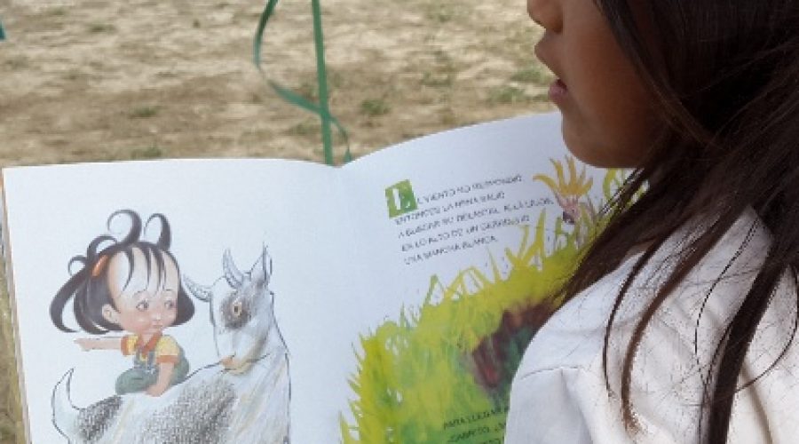 ¡QUE LOS LIBROS VUELVAN AL BOSQUE!