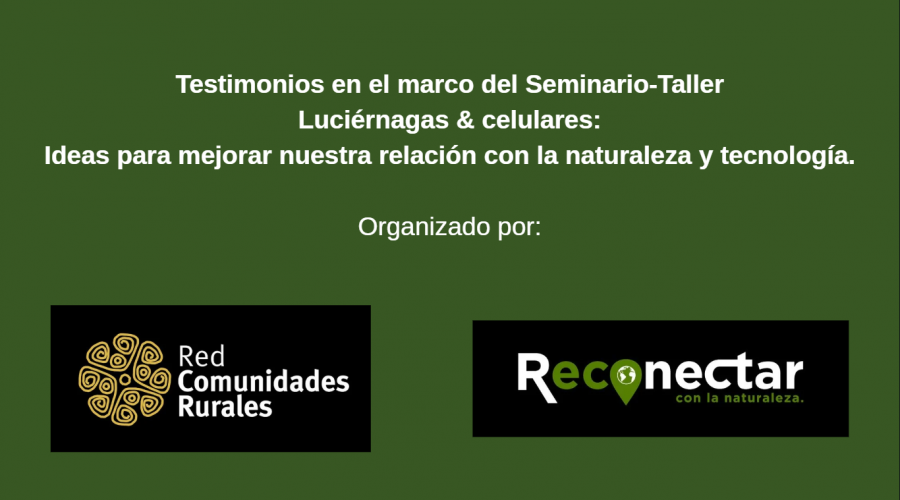 Testimonios del Seminario – Taller «Luciérnagas y celulares»